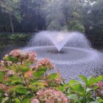 Ogród Botaniczny we Wrocławiu - fontanna