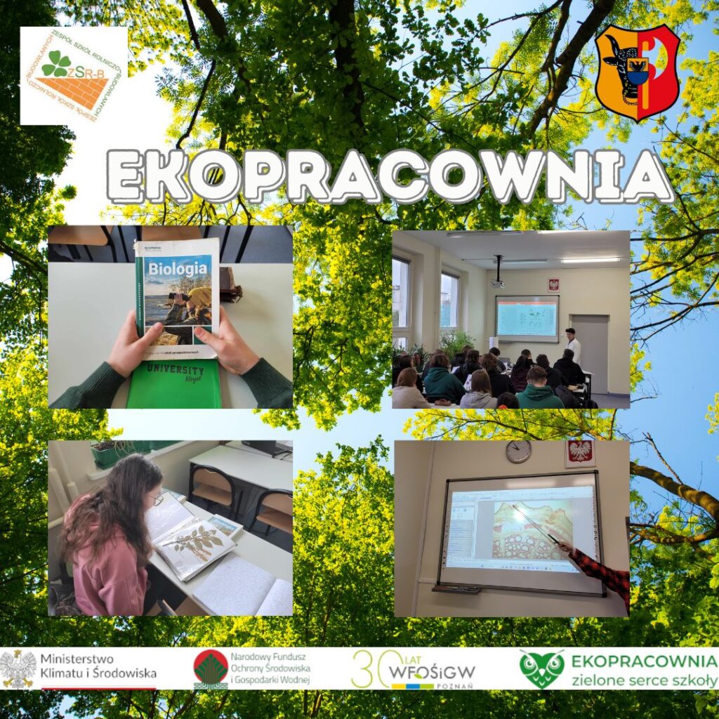 Ekopracownia i drzewa pomnikowe w rytmie matur
