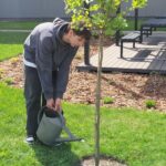 1000 drzew dla Leszna - maturzyści przystępują do akcji.