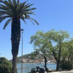 Praktyki zawodowe w Chorwacji