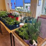 Drzwi Otwarte - Dzień Umiejętności Zawodowych