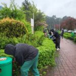 Prace pielęgnacyjne terenu przed szpitalem.