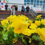 Prace pielęgnacyjne terenu przed szpitalem.