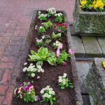 Prace pielęgnacyjne terenu przed szpitalem.