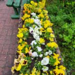 Prace pielęgnacyjne terenu przed szpitalem.