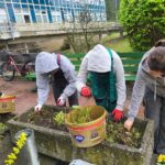 Prace pielęgnacyjne terenu przed szpitalem.