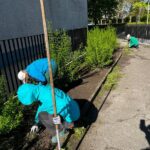 Zawodowcy w Europie – praktyki w Szwecji