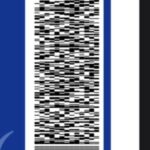 ZAWODOWCY W EUROPIE – zakończenie praktyk – powrót do domu