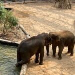 Wycieczka dydaktyczna do Łodzi - ogród zoologiczny