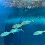 Wycieczka dydaktyczna do Łodzi - ogród zoologiczny