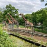 Wycieczka dydaktyczna do Łodzi - ogród zoologiczny