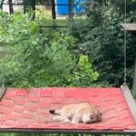 Wycieczka dydaktyczna do Łodzi - ogród zoologiczny