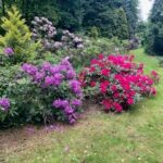 Wycieczka dydaktyczna do Łodzi - ogród zoologiczny