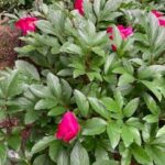 Wycieczka dydaktyczna do Łodzi - ogród zoologiczny