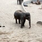 Wycieczka dydaktyczna do Łodzi - ogród zoologiczny