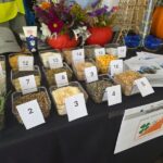 ZSR-B NA FESTIWALU NAUKI