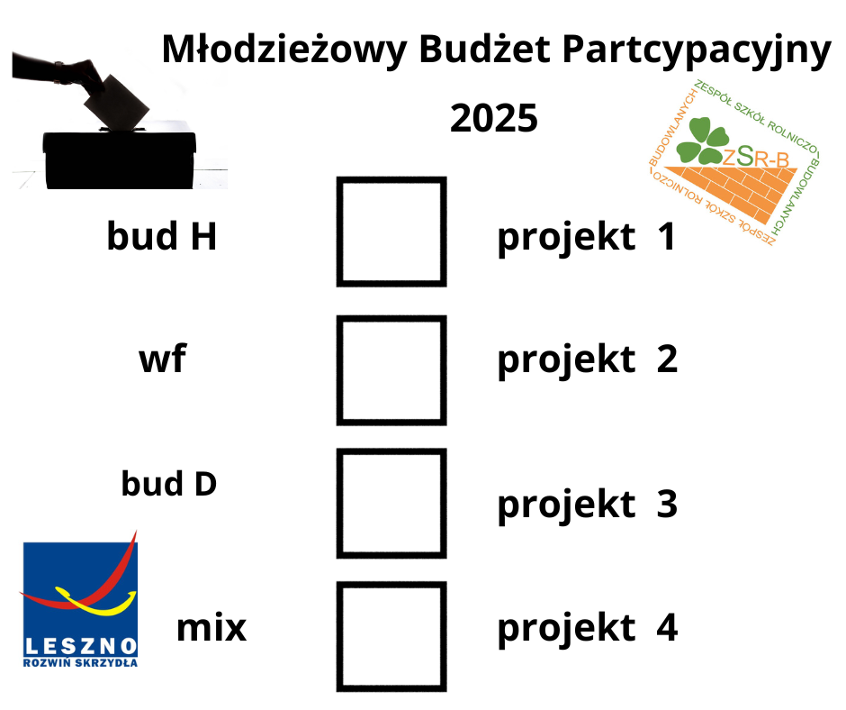 Młodzieżowy Budżet Partcypacyjny 2025 - karta do głosowania