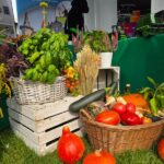 Targi organizacji pozarządowych w Lesznie