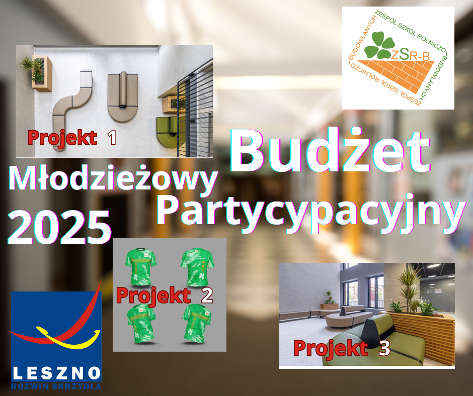 Młodzieżowy Budżet Partycypacyjny 2025 – przybliżenie zakwalifikowanych wniosków