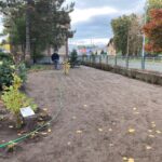 Modernizacja terenów zieleni