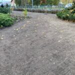 Modernizacja terenów zieleni