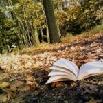 Prace konkursowe na konkurs fotograficzny „Jesień z moją ulubioną książką”