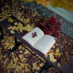 Prace konkursowe na konkurs fotograficzny „Jesień z moją ulubioną książką”