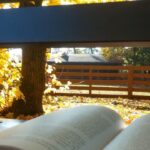 Prace konkursowe na konkurs fotograficzny „Jesień z moją ulubioną książką”