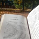 Prace konkursowe na konkurs fotograficzny „Jesień z moją ulubioną książką”