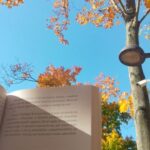 Prace konkursowe na konkurs fotograficzny „Jesień z moją ulubioną książką”