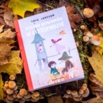 Prace konkursowe na konkurs fotograficzny „Jesień z moją ulubioną książką”