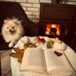 Prace konkursowe na konkurs fotograficzny „Jesień z moją ulubioną książką”