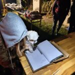 Bieg  Nocny pod Wiatrakiem upamiętniający odzyskanie przez nasz kraj niepodległości pod patronatem Stowarzyszenia Przyjaciół Zespołu Szkół Rolniczo-Budowlanych w Lesznie oraz Dyrekcji ZSR-B.