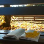 Prace konkursowe na konkurs fotograficzny „Jesień z moją ulubioną książką”