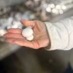 Wizyta w firmie Grupa Hajduk