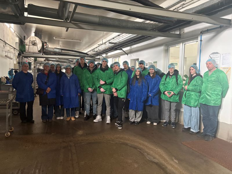 Wizyta w firmie Grupa Hajduk