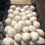 Wizyta w firmie Grupa Hajduk