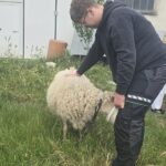 Rolnicy na praktykach w ramach projektu Erasmus +